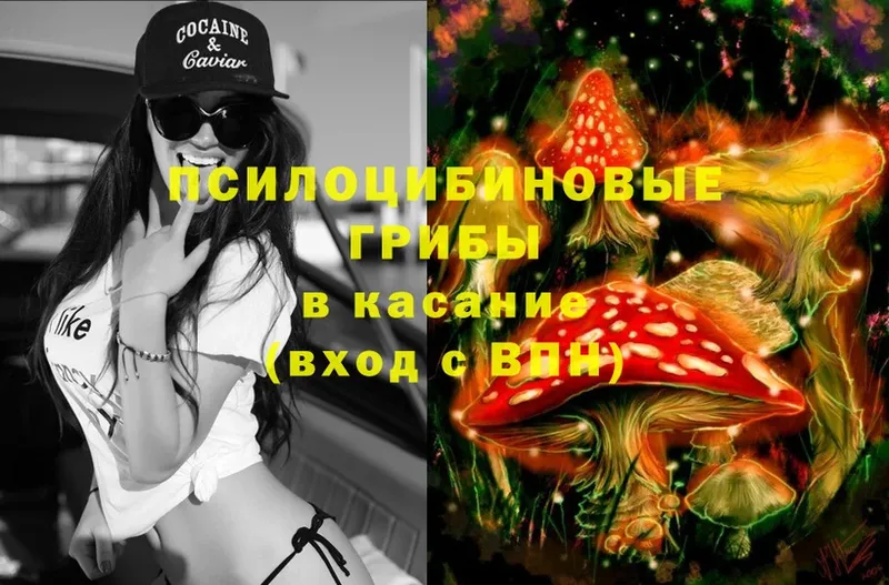 купить наркотики сайты  сайты даркнета какой сайт  Галлюциногенные грибы MAGIC MUSHROOMS  Дедовск 